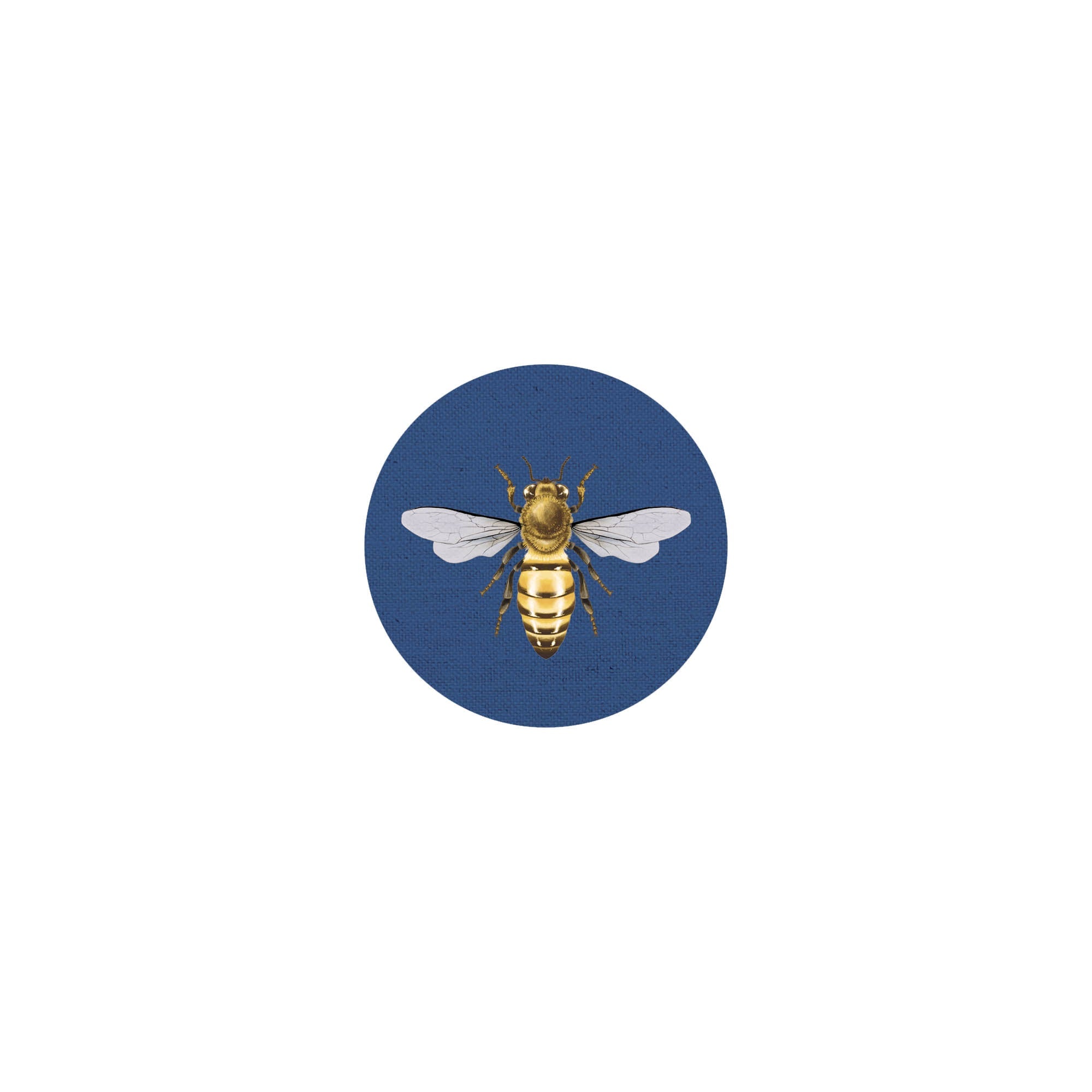 Coaster Insects II