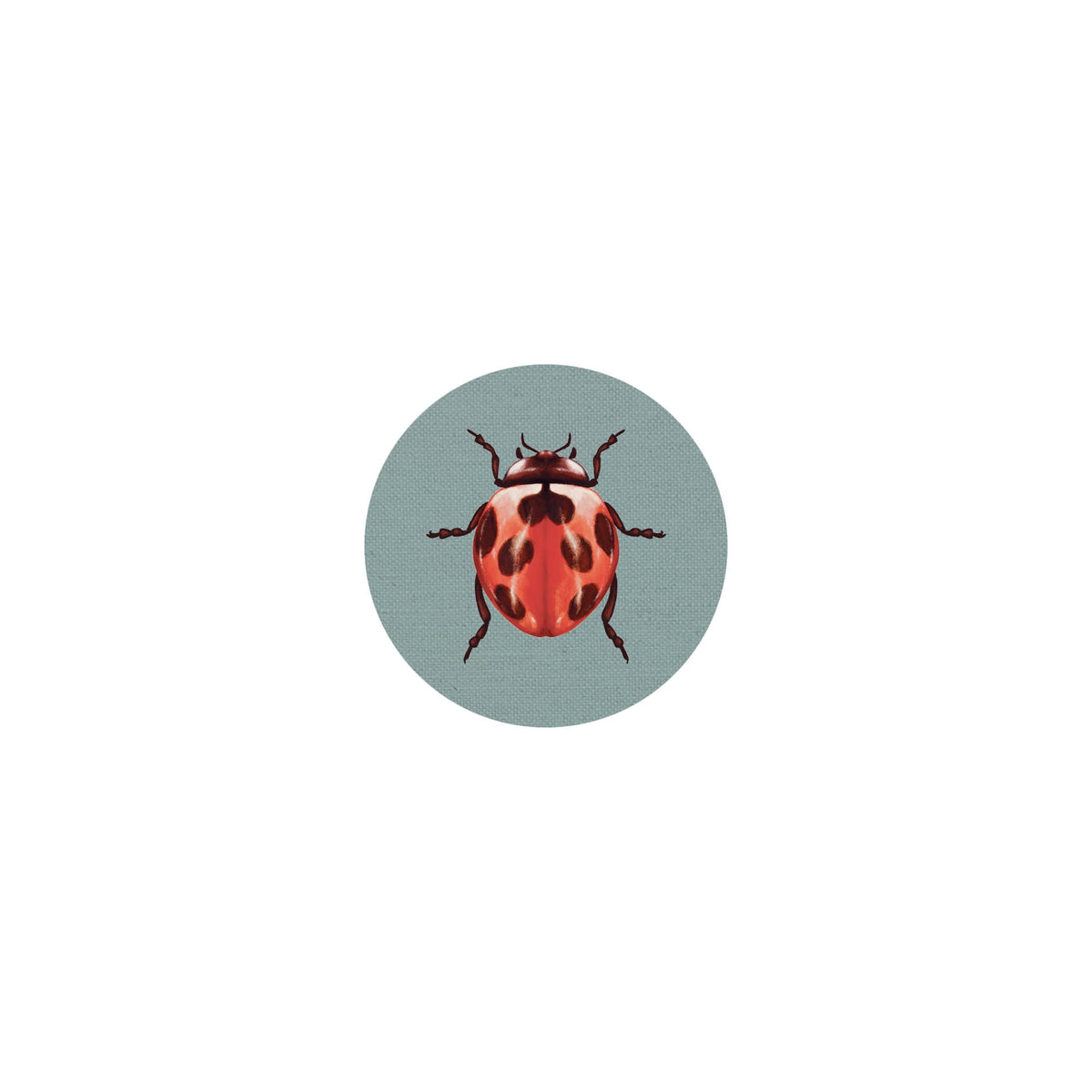 Coaster Insects II