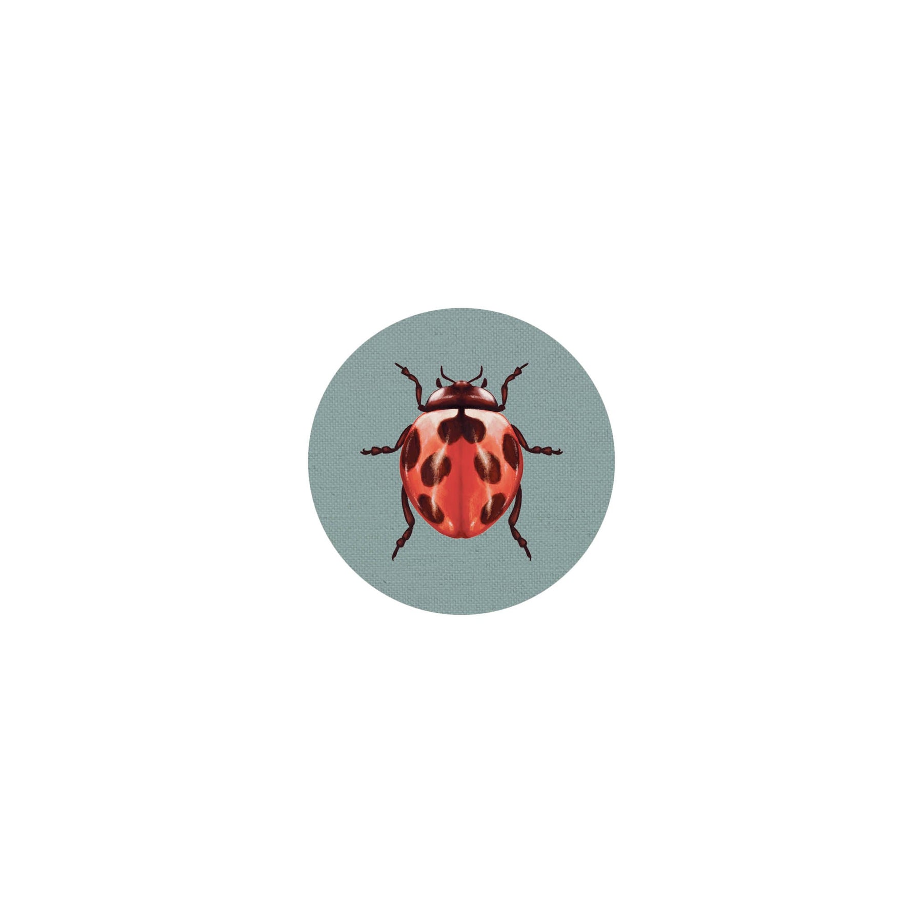 Coaster Insects II