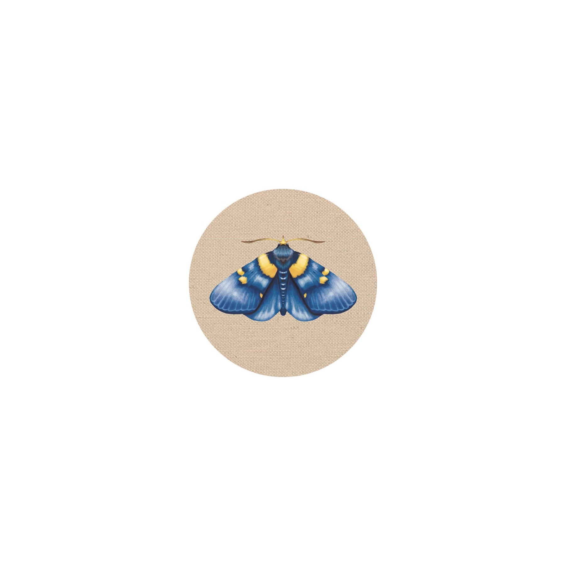 Coaster Insects II