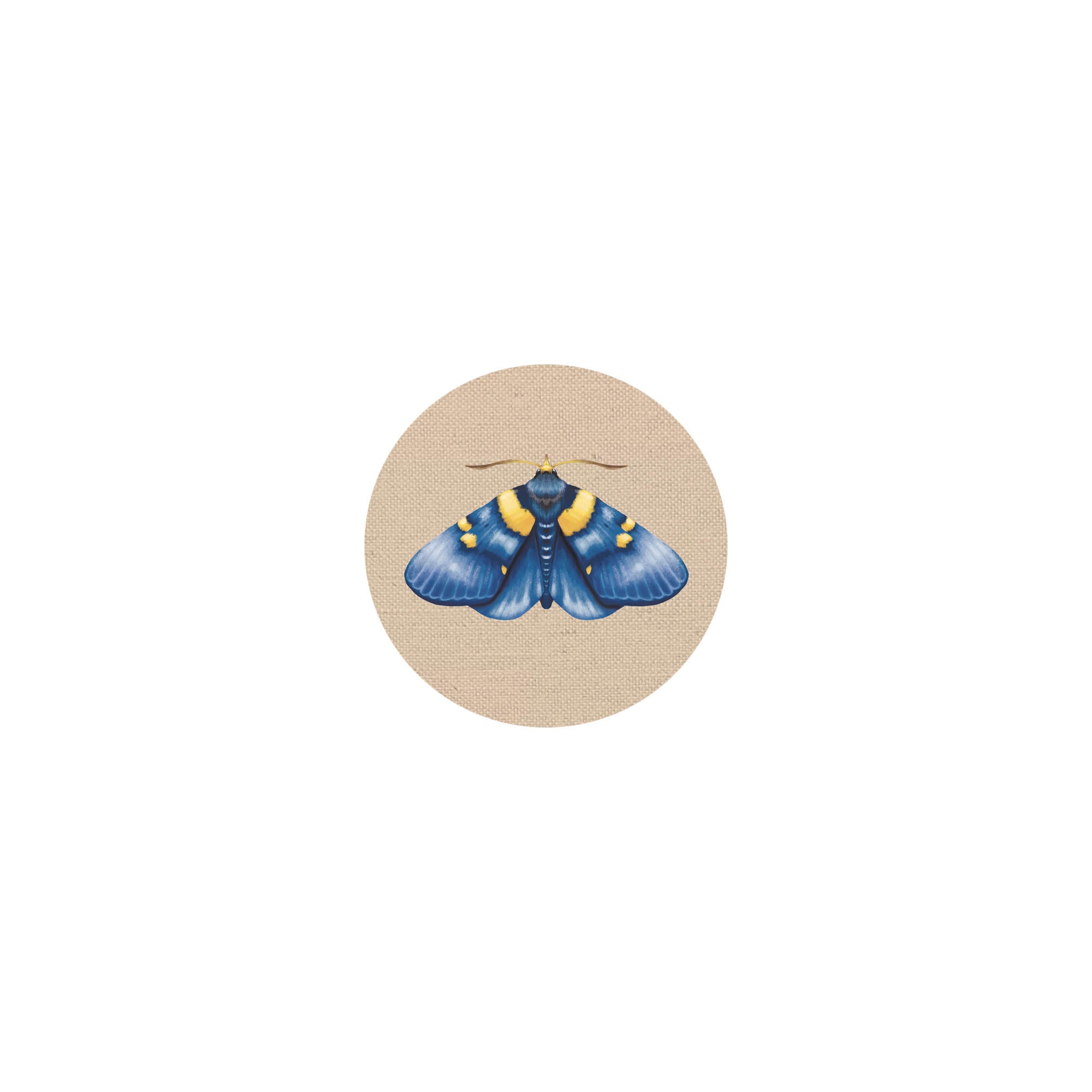 Coaster Insects II