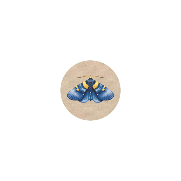Coaster Insects II