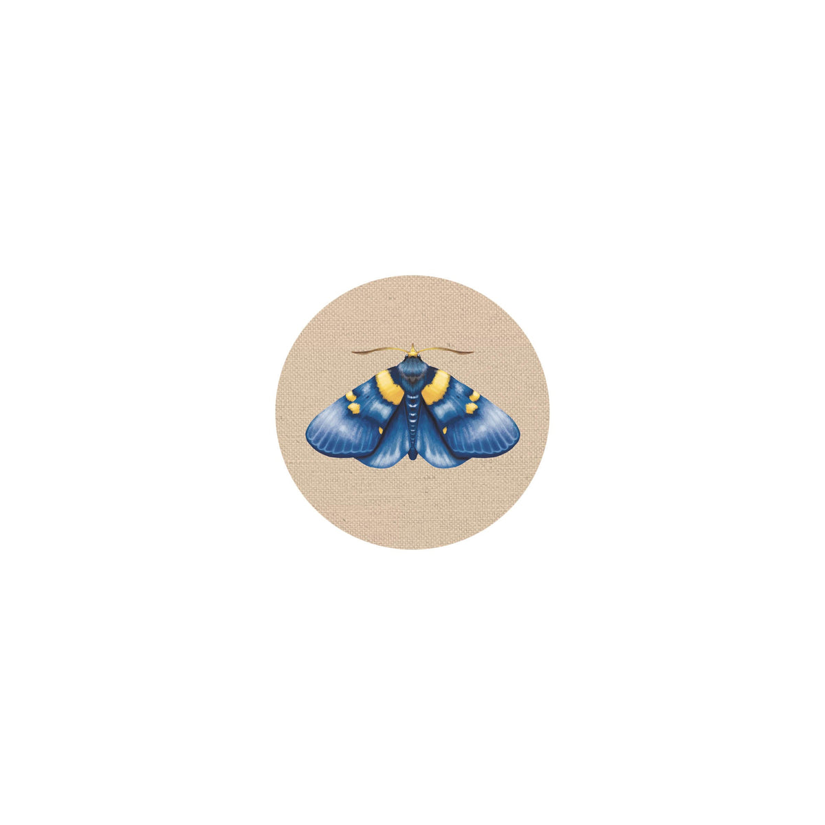 Coaster Insects II