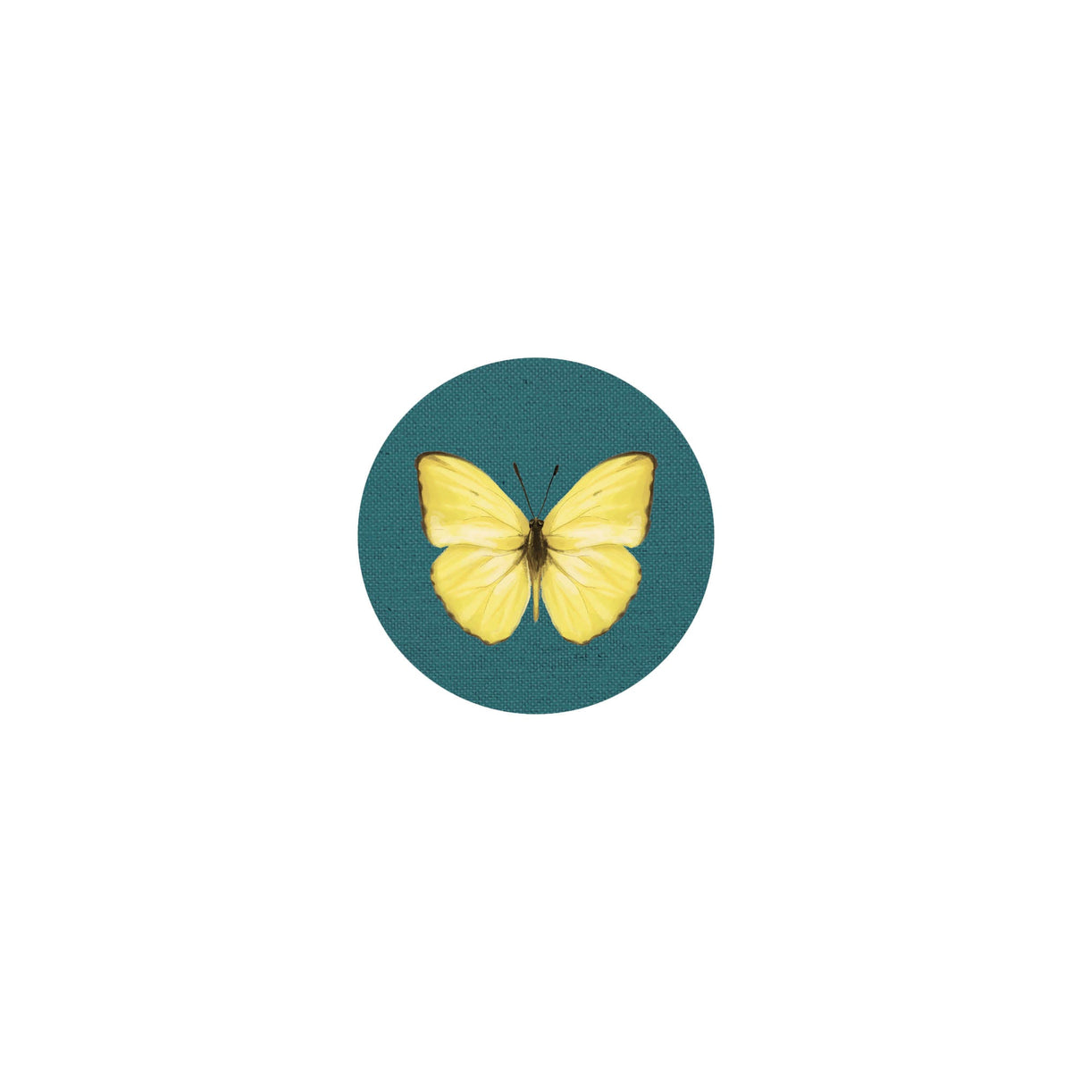 Coaster Insects II