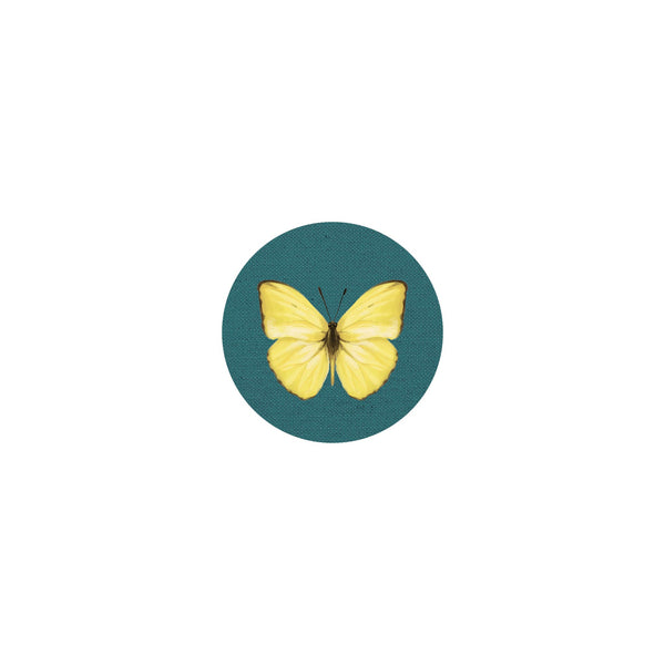 Coaster Insects II