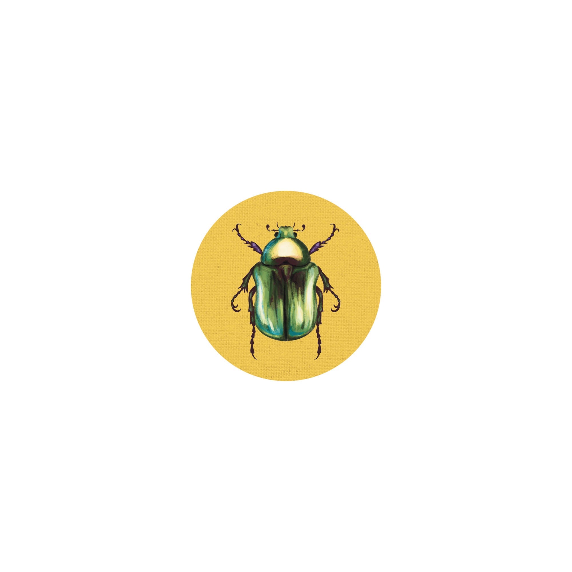 Coaster Insects II