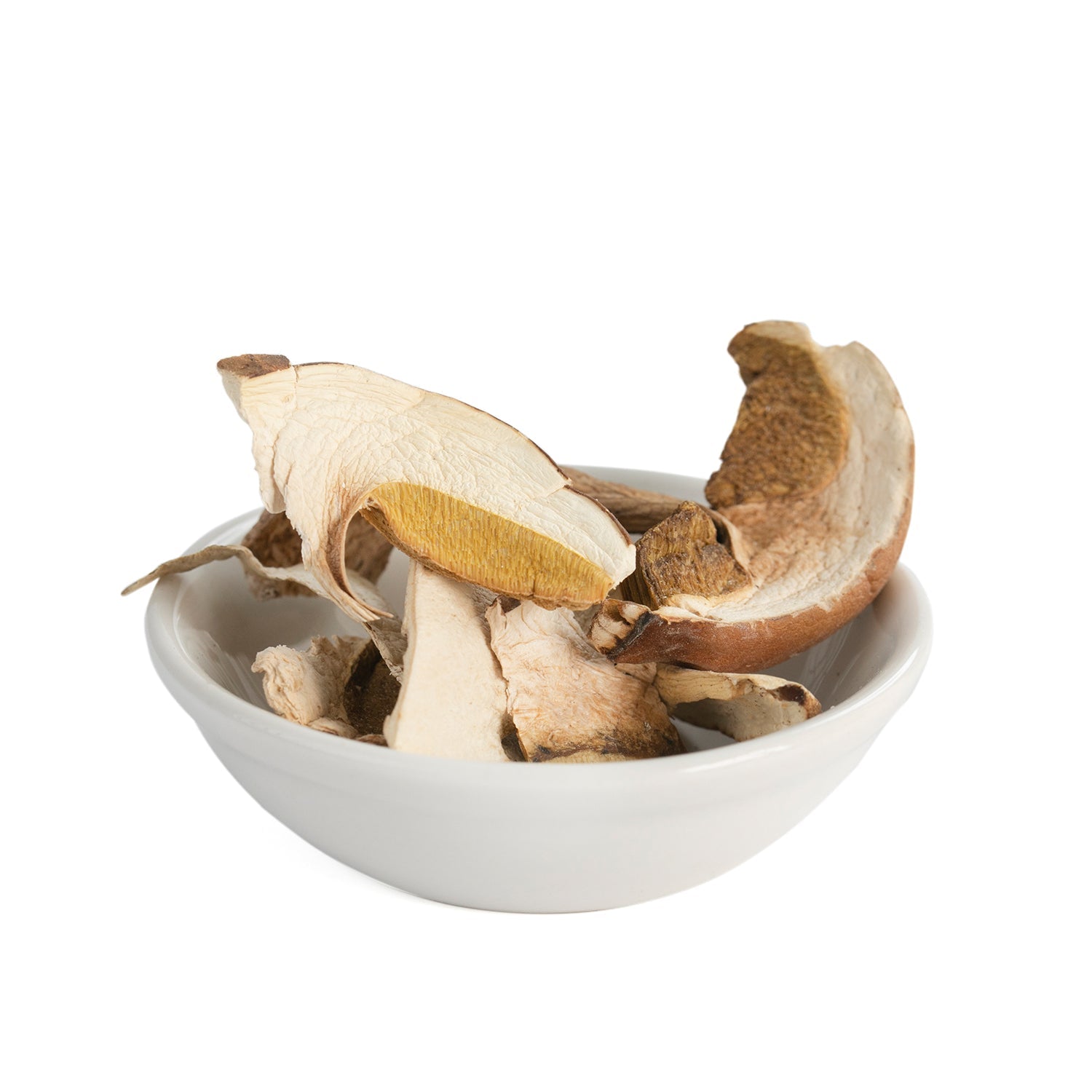Boletus - Dehydrated