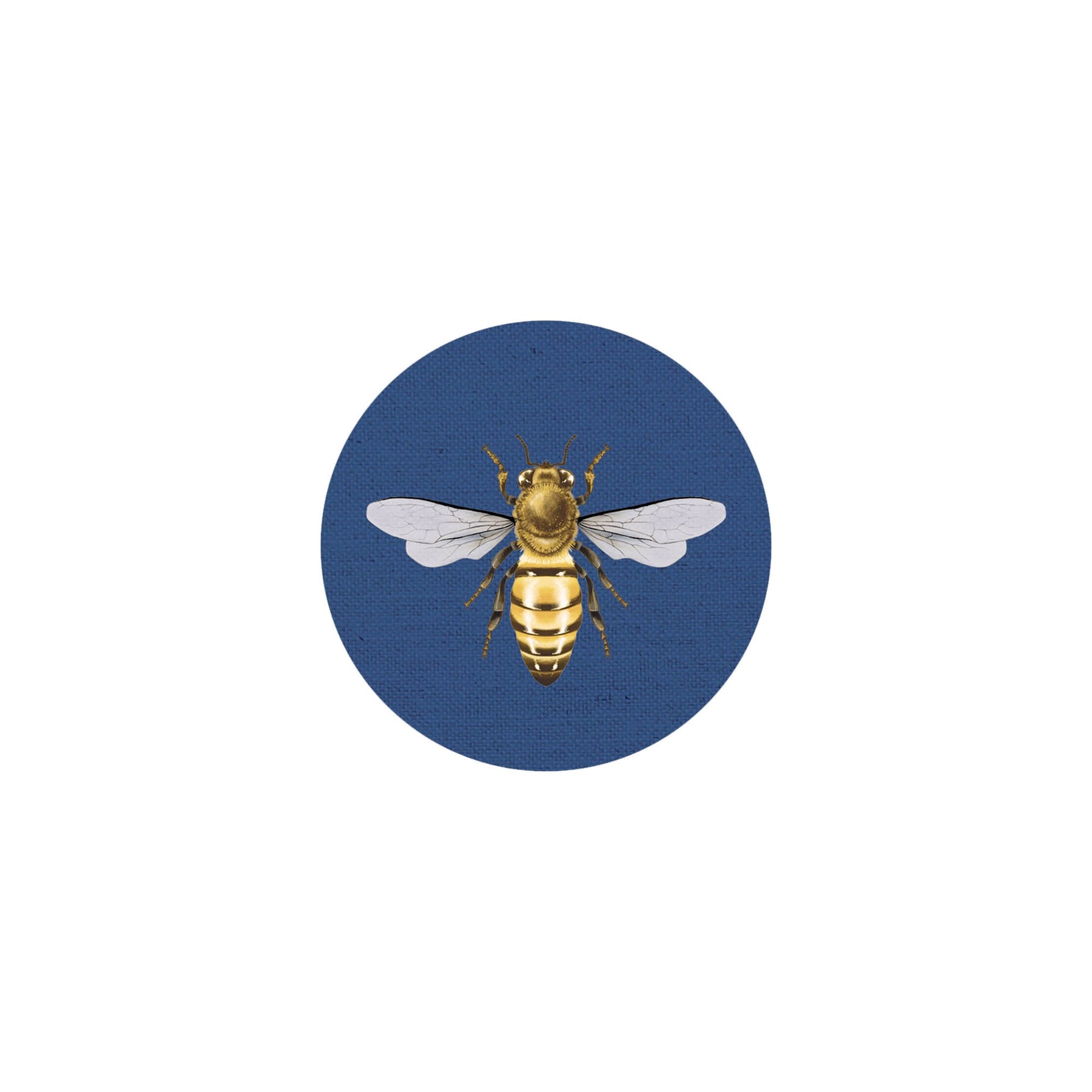 Insect Coaster II
