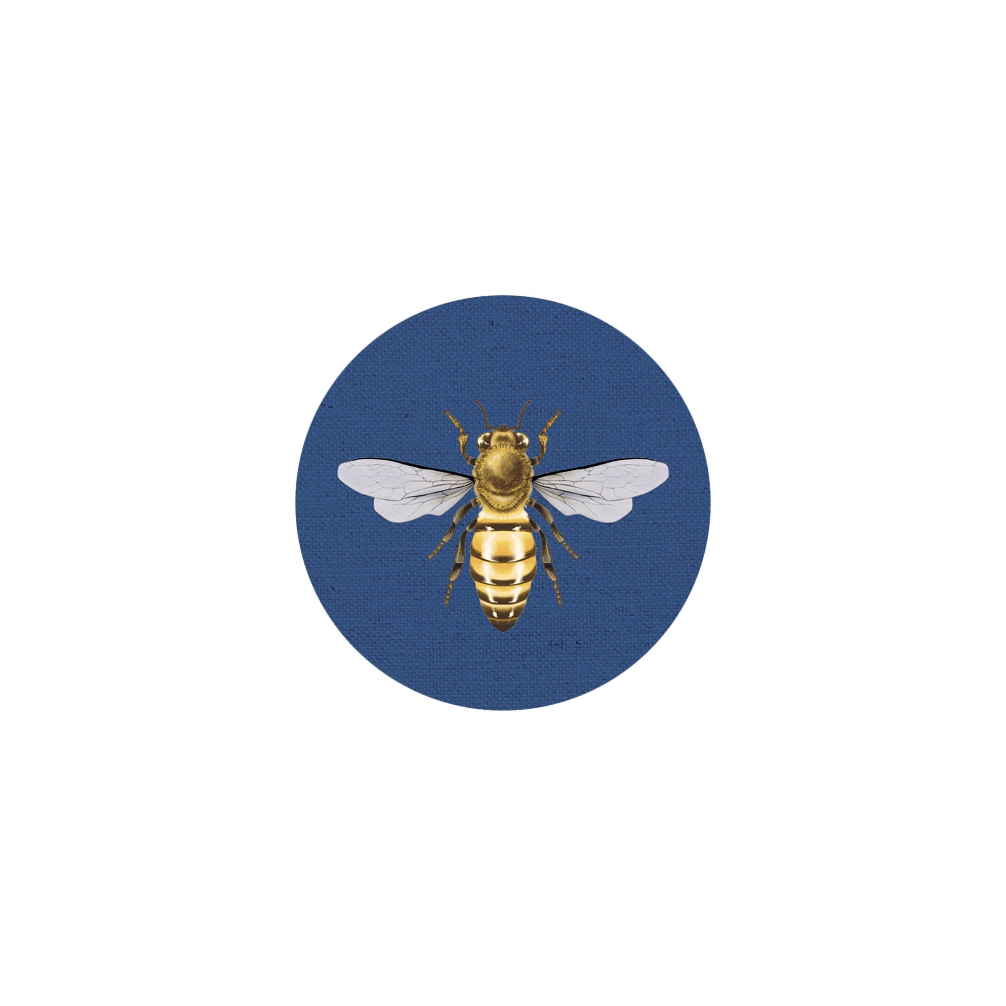 Insect Coaster II