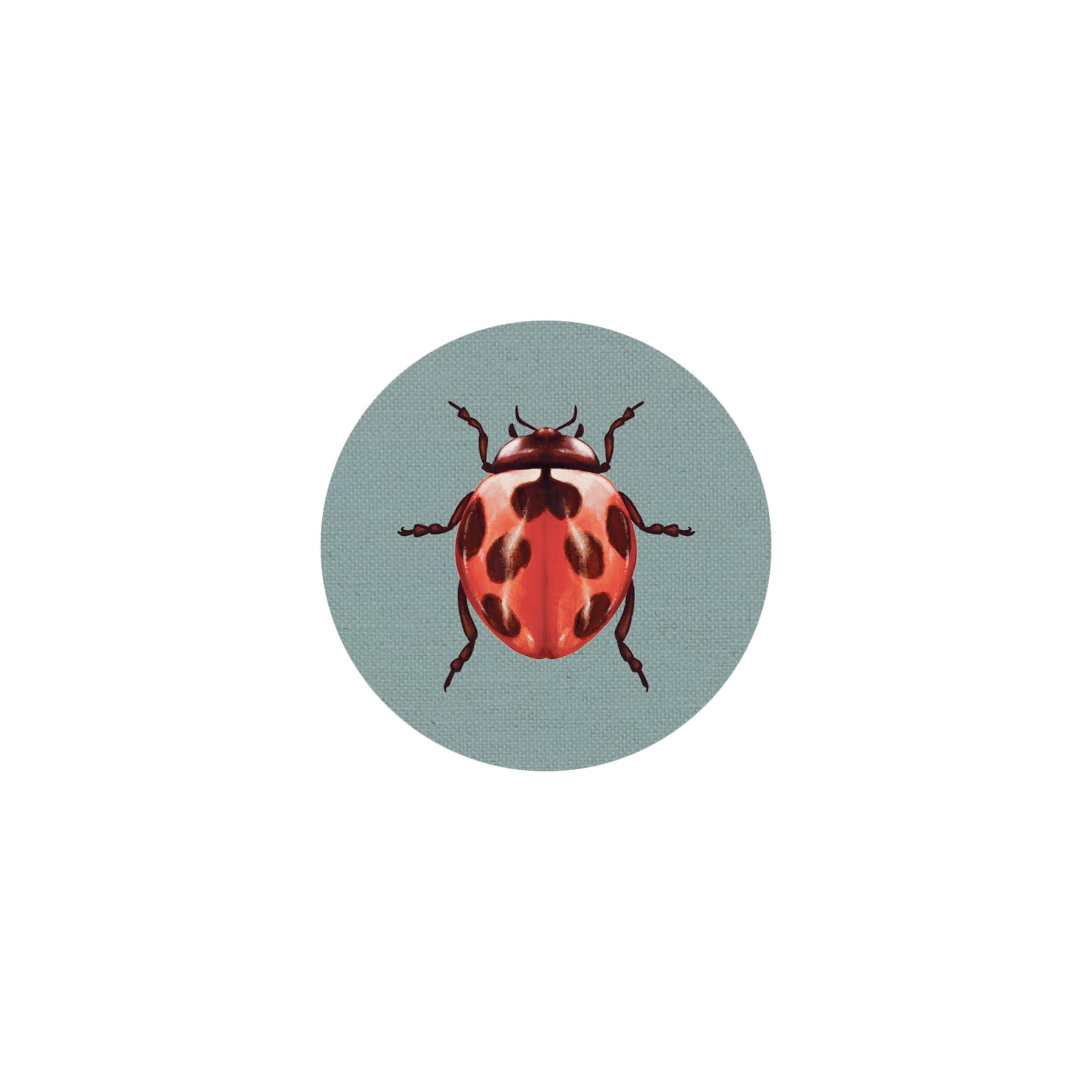 Insect Coaster II