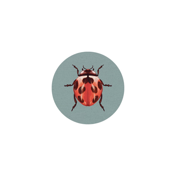 Insect Coaster II