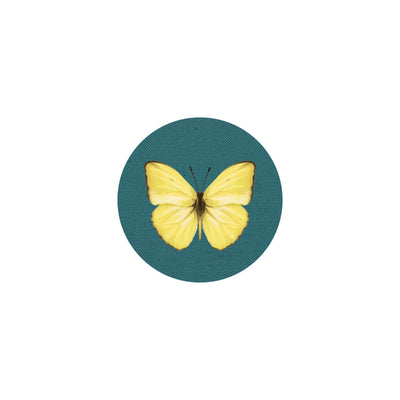 Insect Coaster II