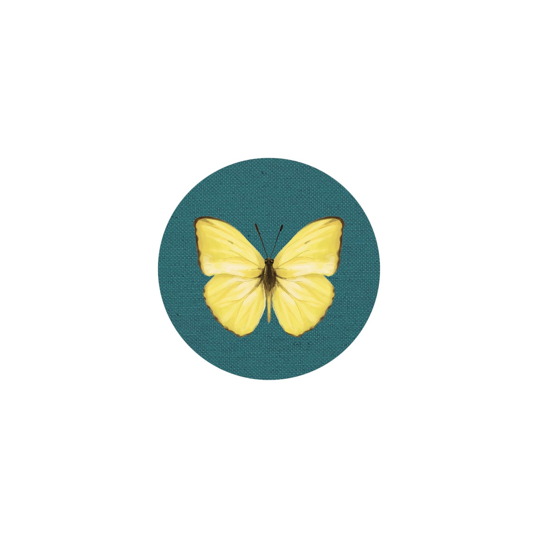 Insect Coaster II
