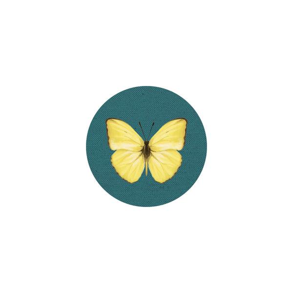 Insect Coaster II