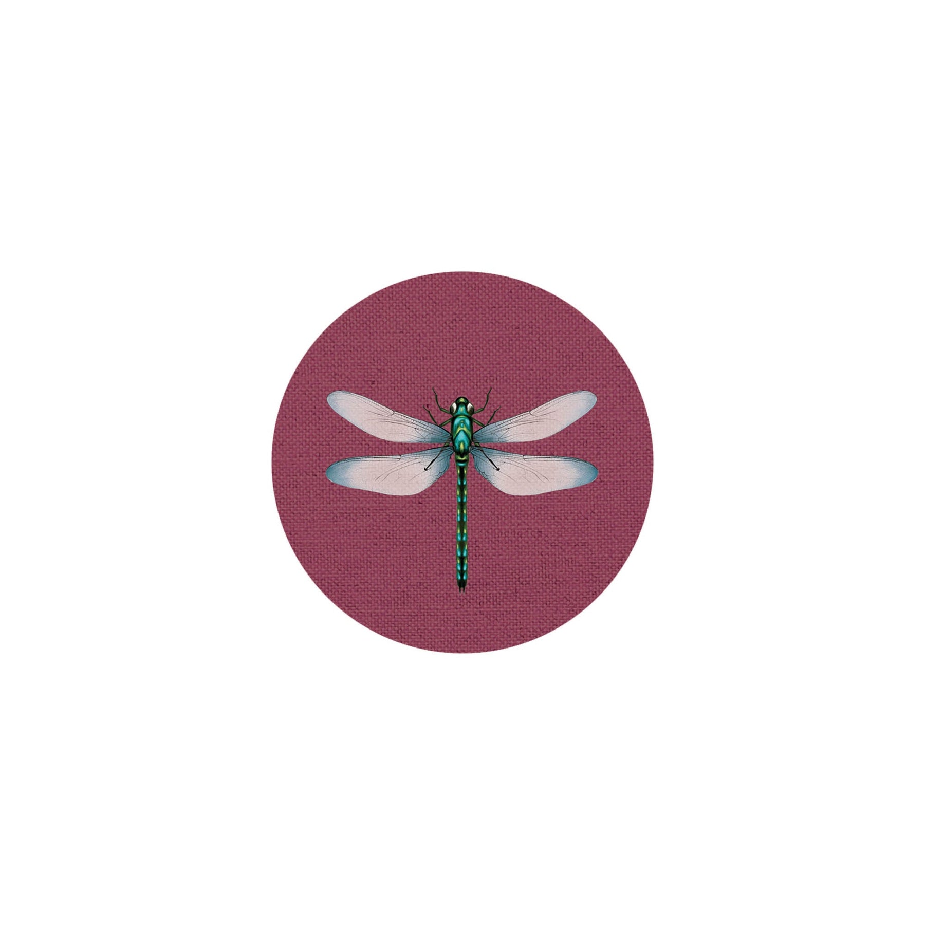 Insect Coaster II