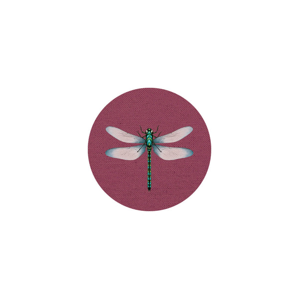 Insect Coaster II