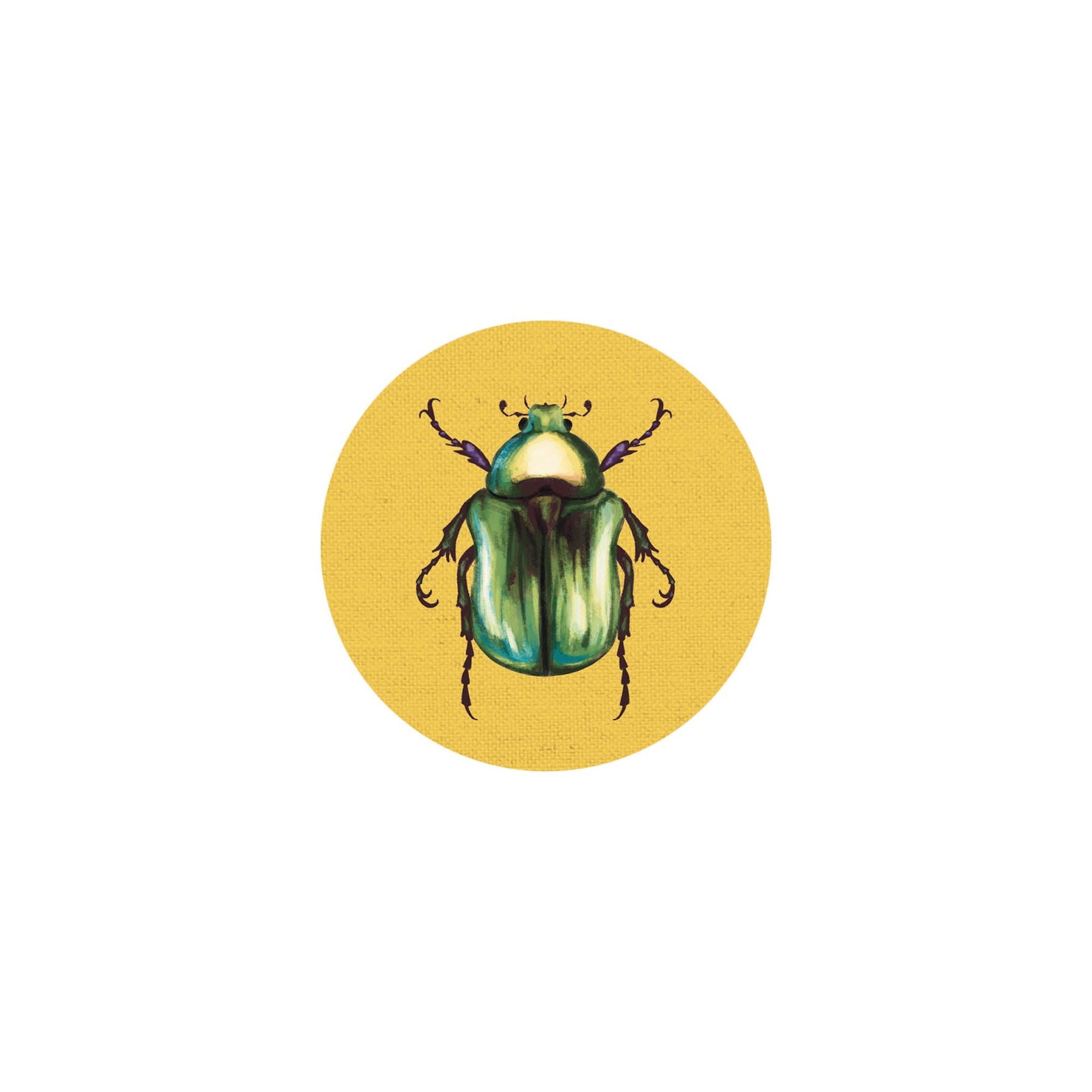 Insect Coaster II