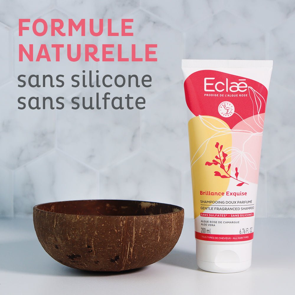 Brillance Exquise - ECLAE