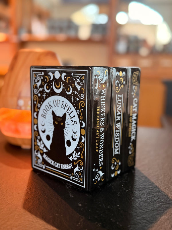 Brûleur livre chat - Scarly Shop