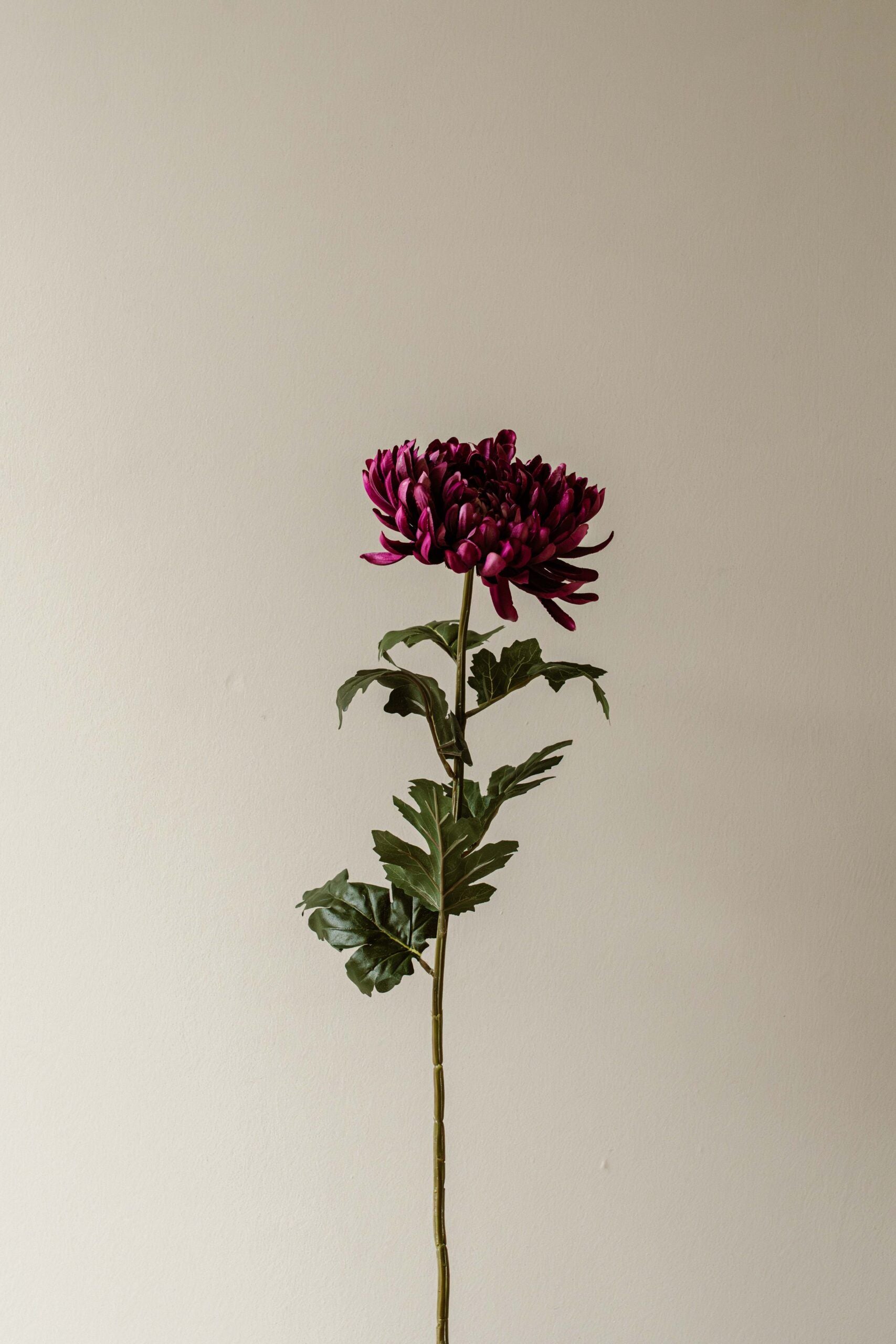Indore Silva - Chrysanthemum - Purple - artificial branch - silk