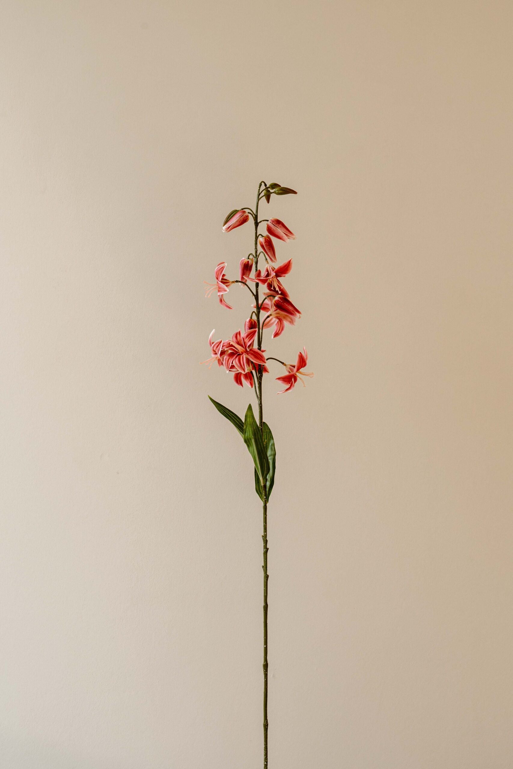 Indore Silva - Lely - Pink - artificial branch - silk