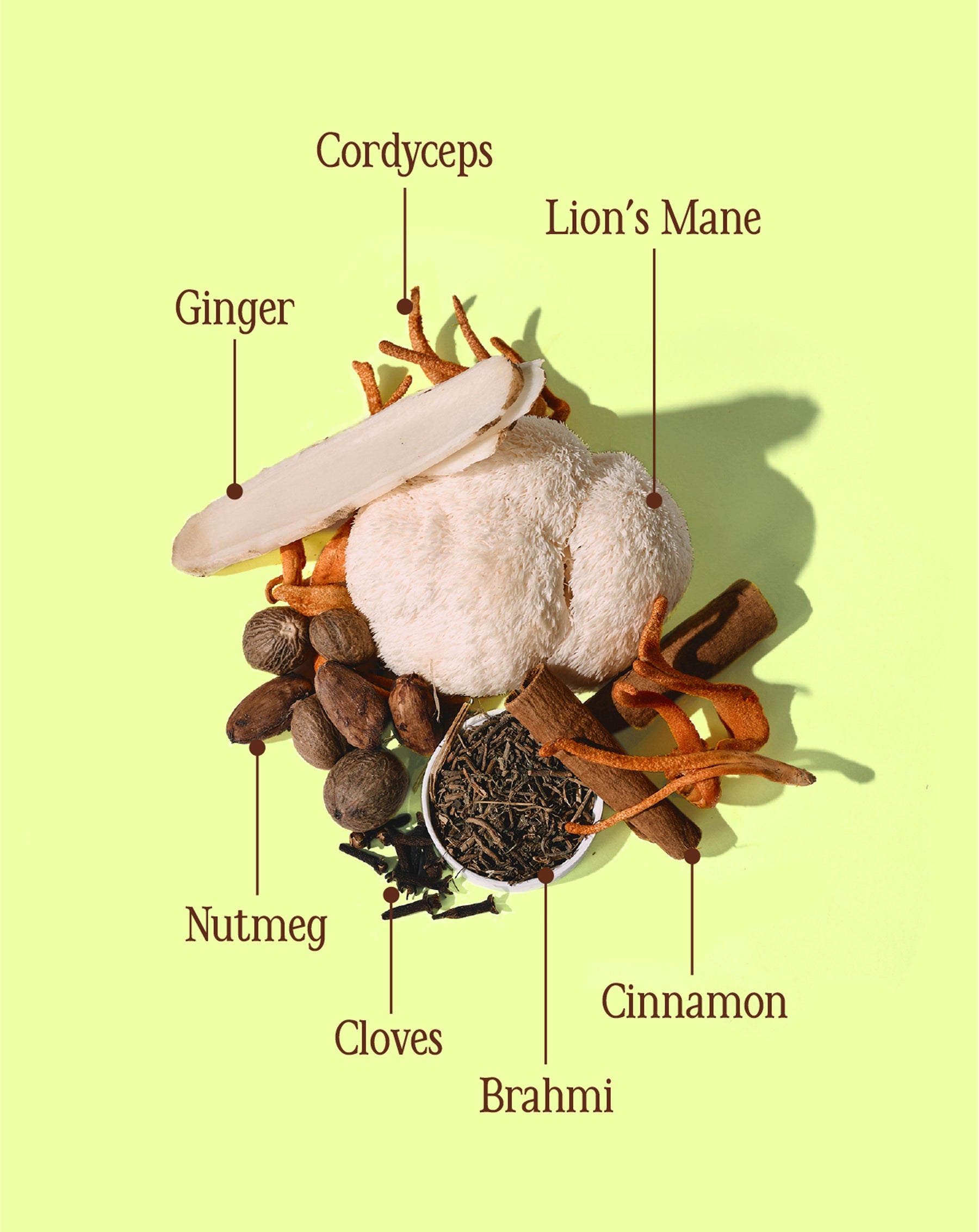 Cacao ✹