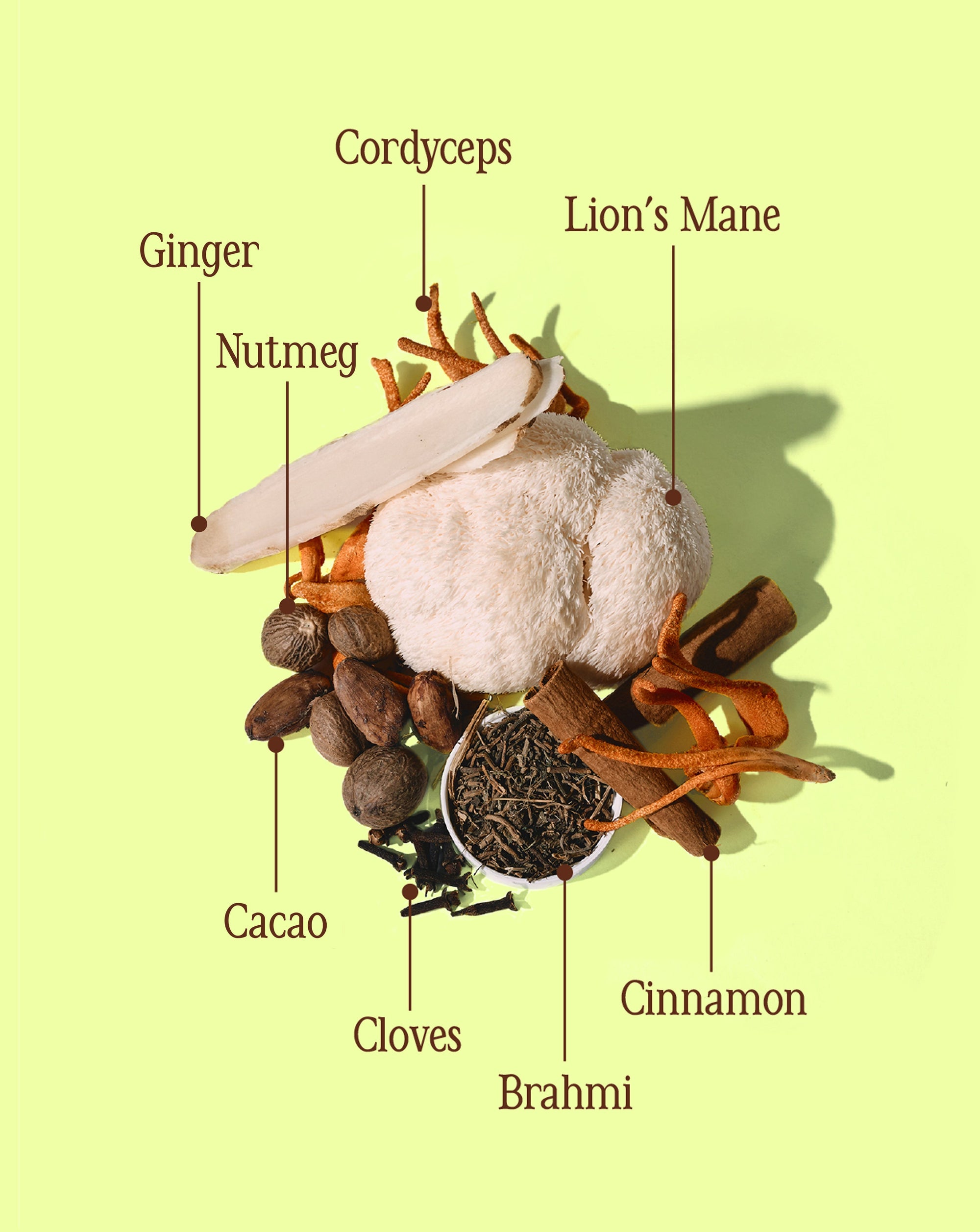 Dagelijkse Cacao Ritueel bundel