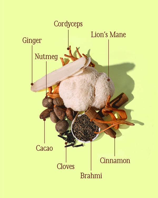 Dagelijkse Cacao Ritueel bundel