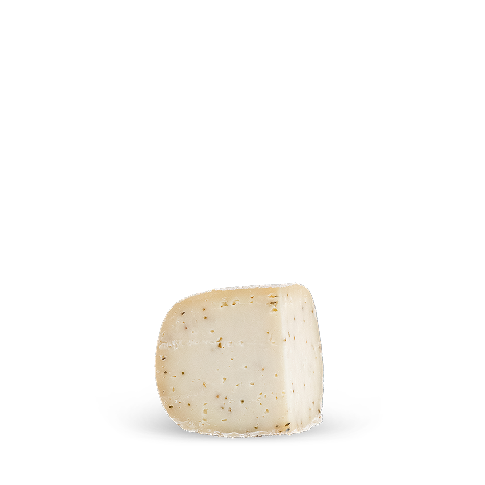 Campì Fennel Seeds – Buffalo Caciotta with Fennel Seeds