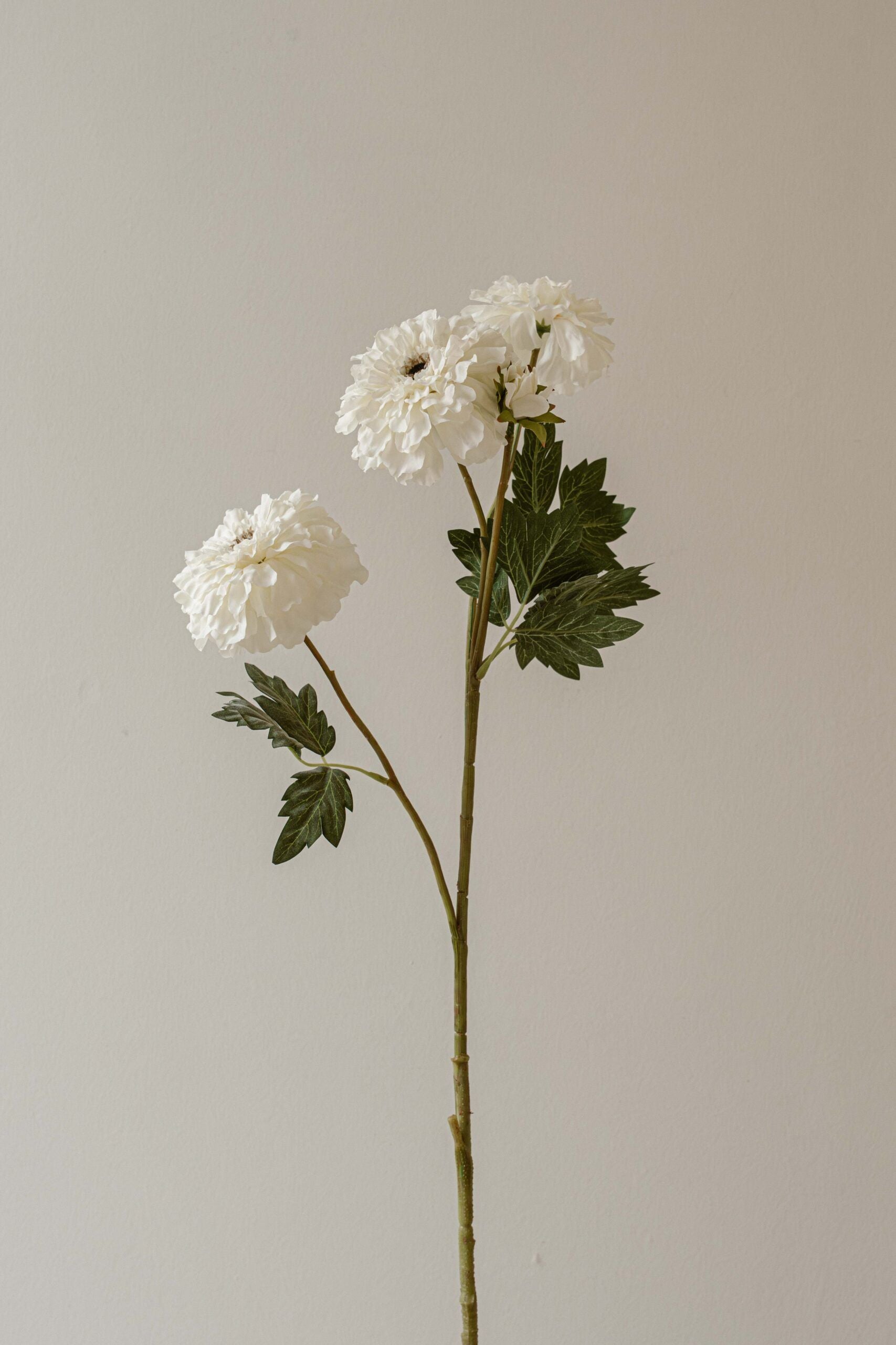 Indore Silva - Tagetes erecta - White - artificial branch - silk