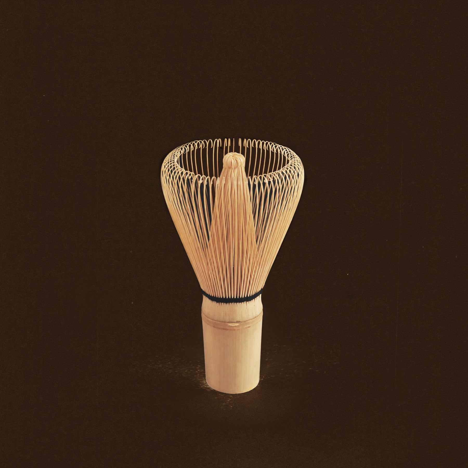 Metlica (Chasen) ꒰ ꒱