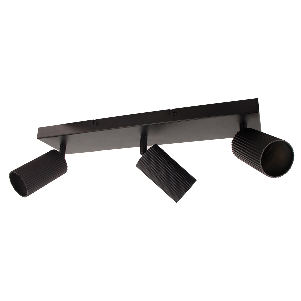 Deze zwarte plafondlamp Rigo heeft een robuuste uitstraling. Perfect voor een industrieel interieur of moderne ruimtes.