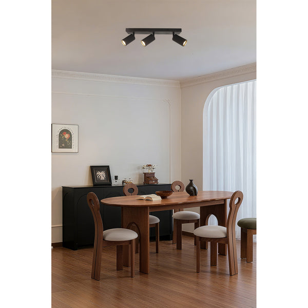 De zwarte Rigo plafondlamp voegt een moderne, industriële touch toe aan jouw interieur. Perfect voor sfeervolle ruimtes.