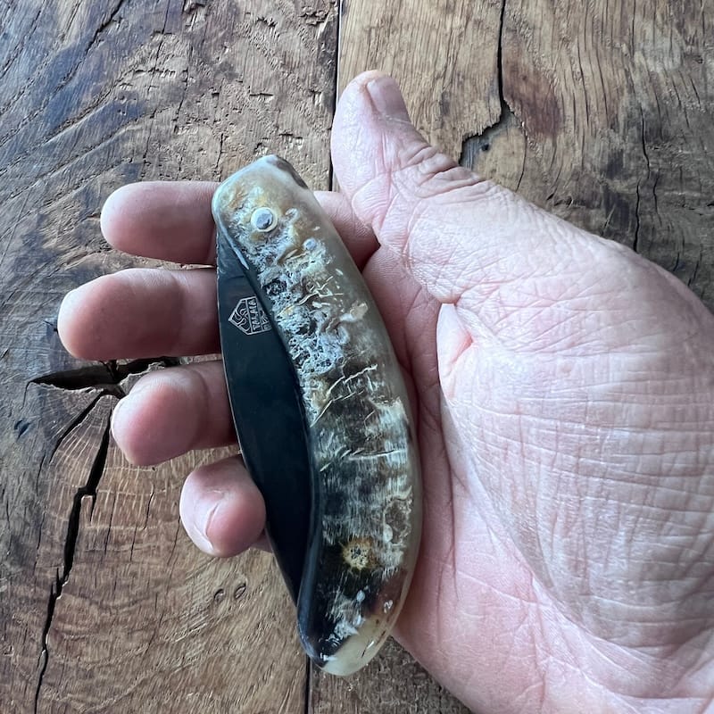 Le couteau basque du berger-l'authentique couteau basque traditionnel en corne de manech et sa lame en acier carbone.