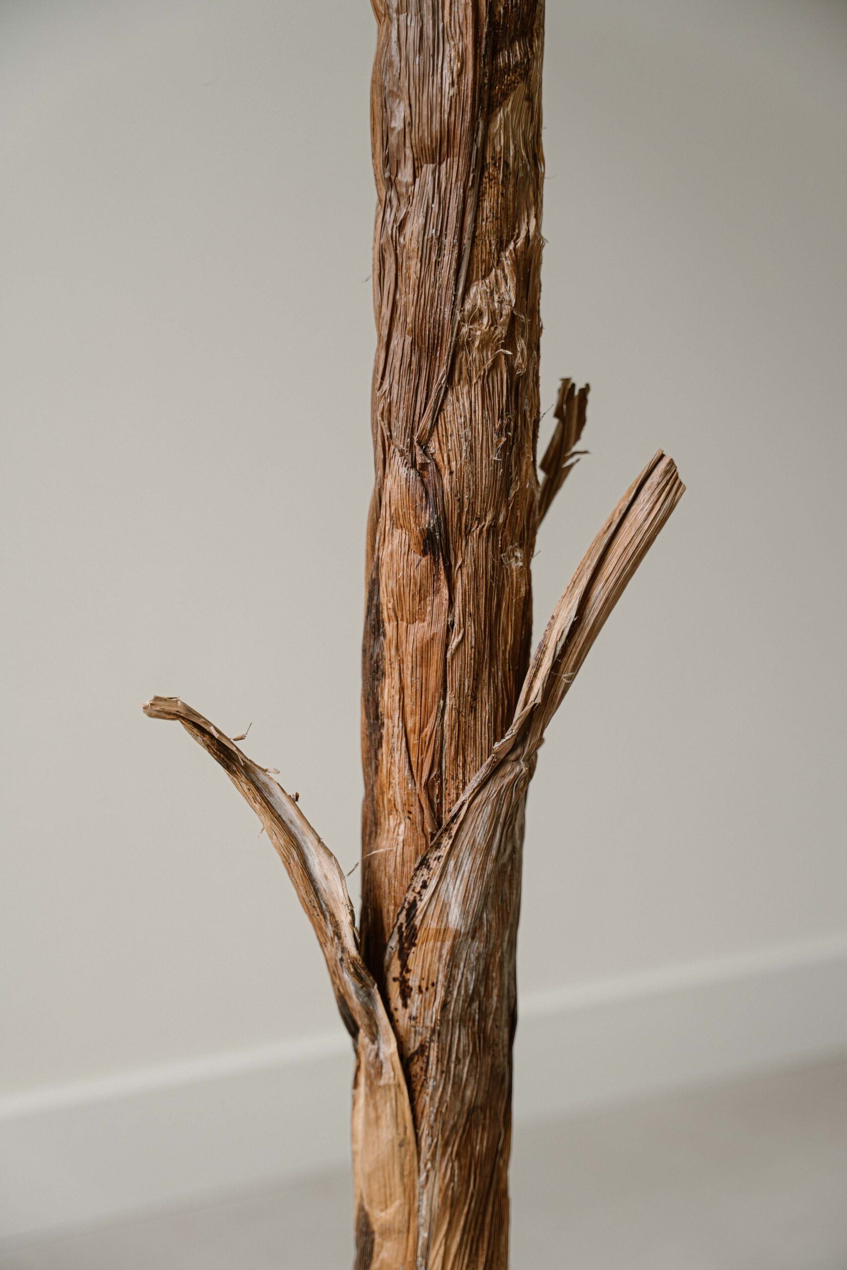 Indore Silva - Artificial Banana Plant - 170cm - Delivery time 1-2 weeks