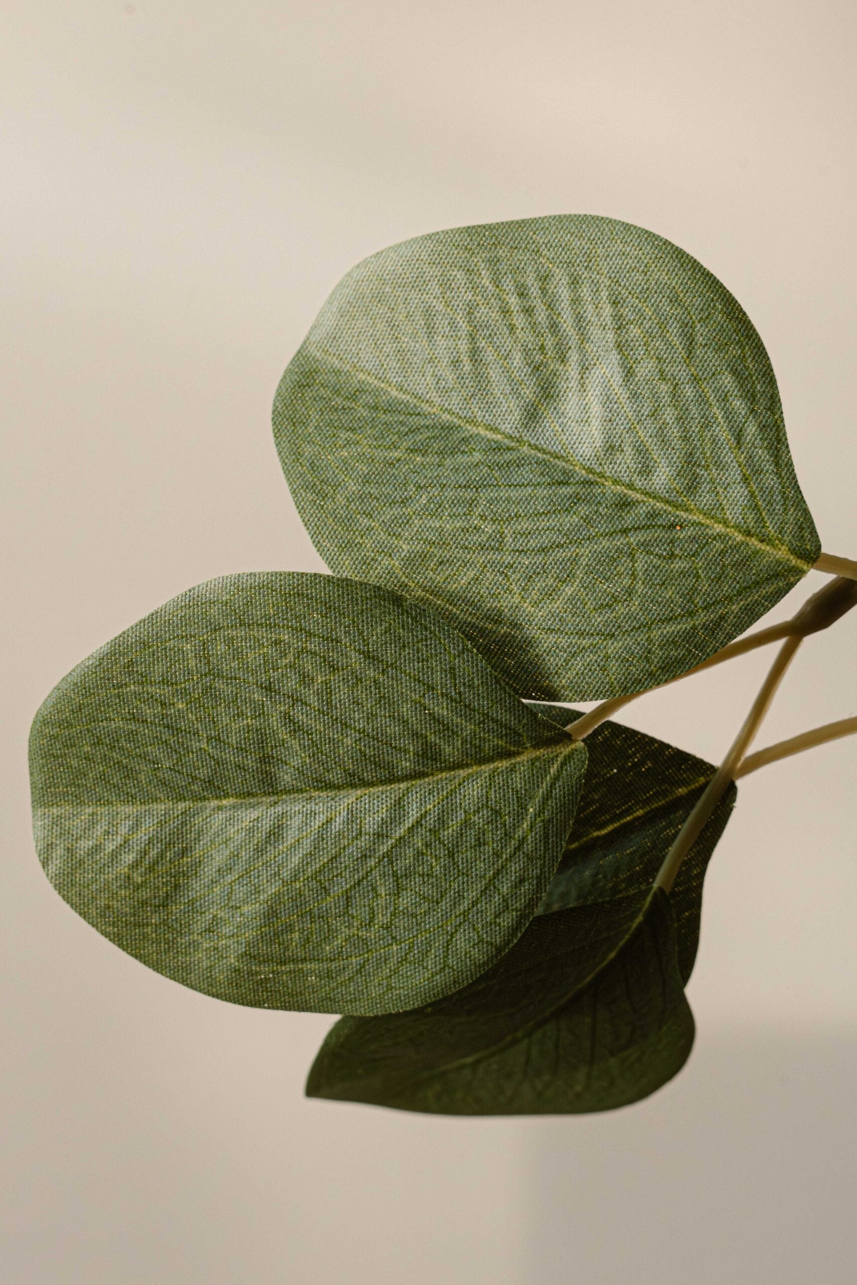 Indore Silva - Eucalyptus - artificial branch - silk