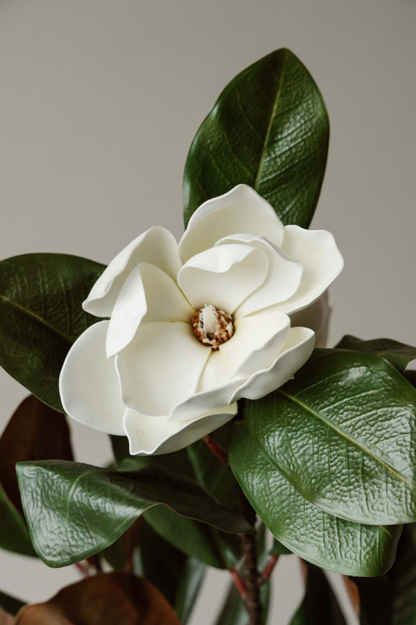 Indore Silva - Artificial Plant Magnolia - 120cm