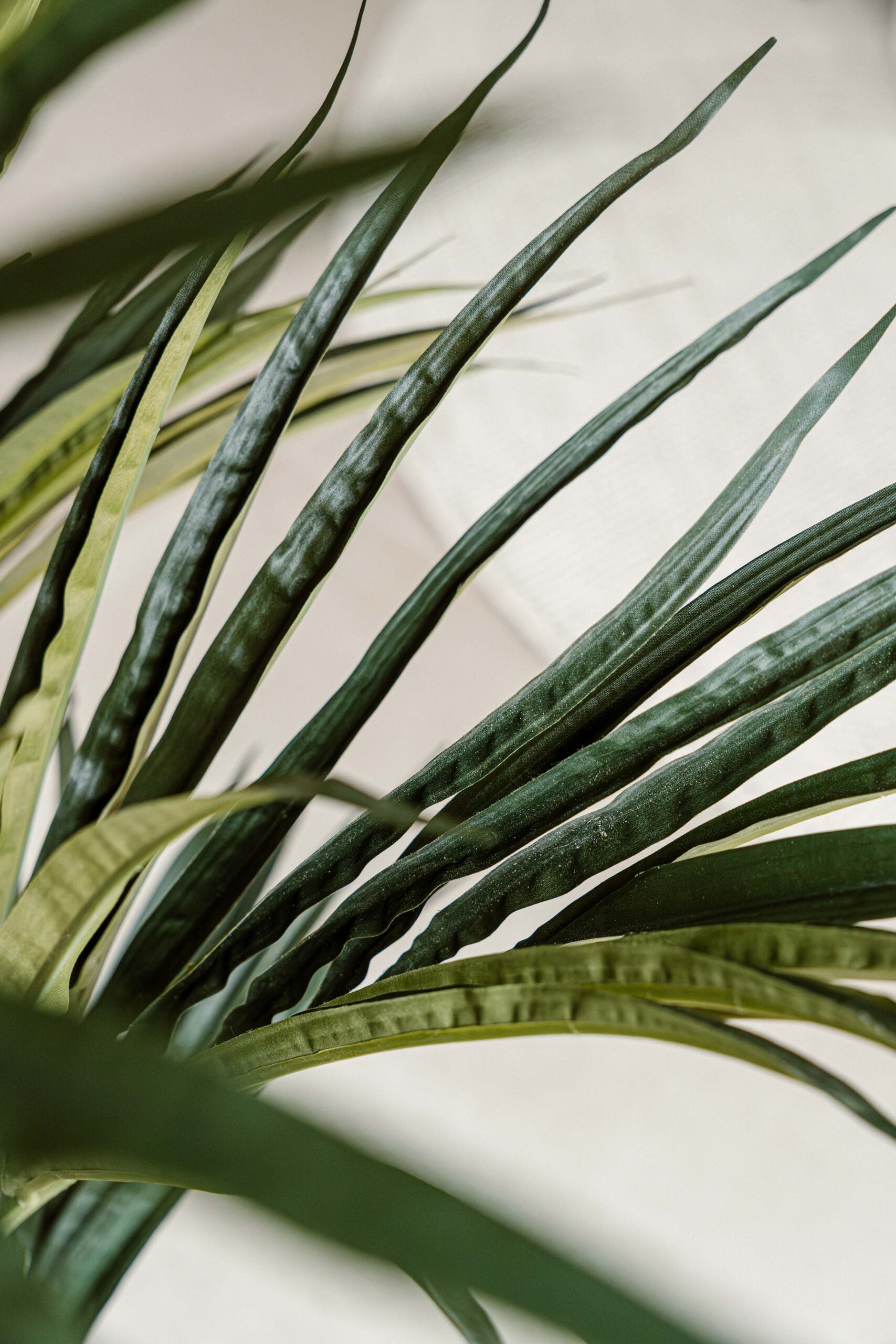 Indore Silva - Artificial Kentia Palm - 180cm