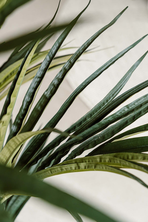 Indore Silva - Artificial Kentia Palm - 180cm