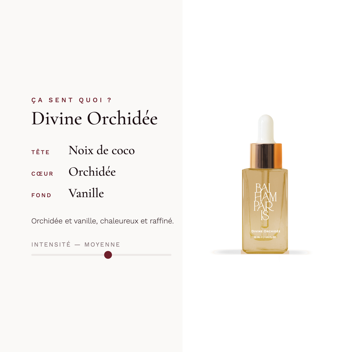 Divine Orchid