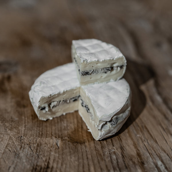 Truffle Tomette