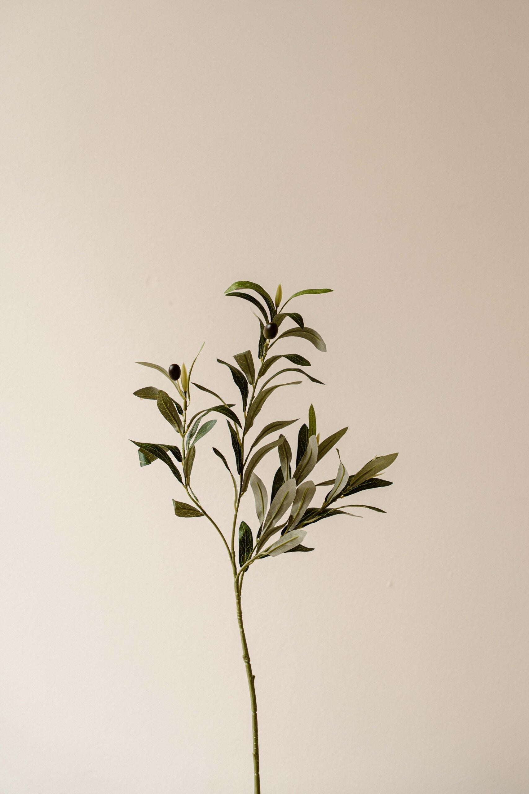 Indore Silva - Olive branch - artificial branch - silk
