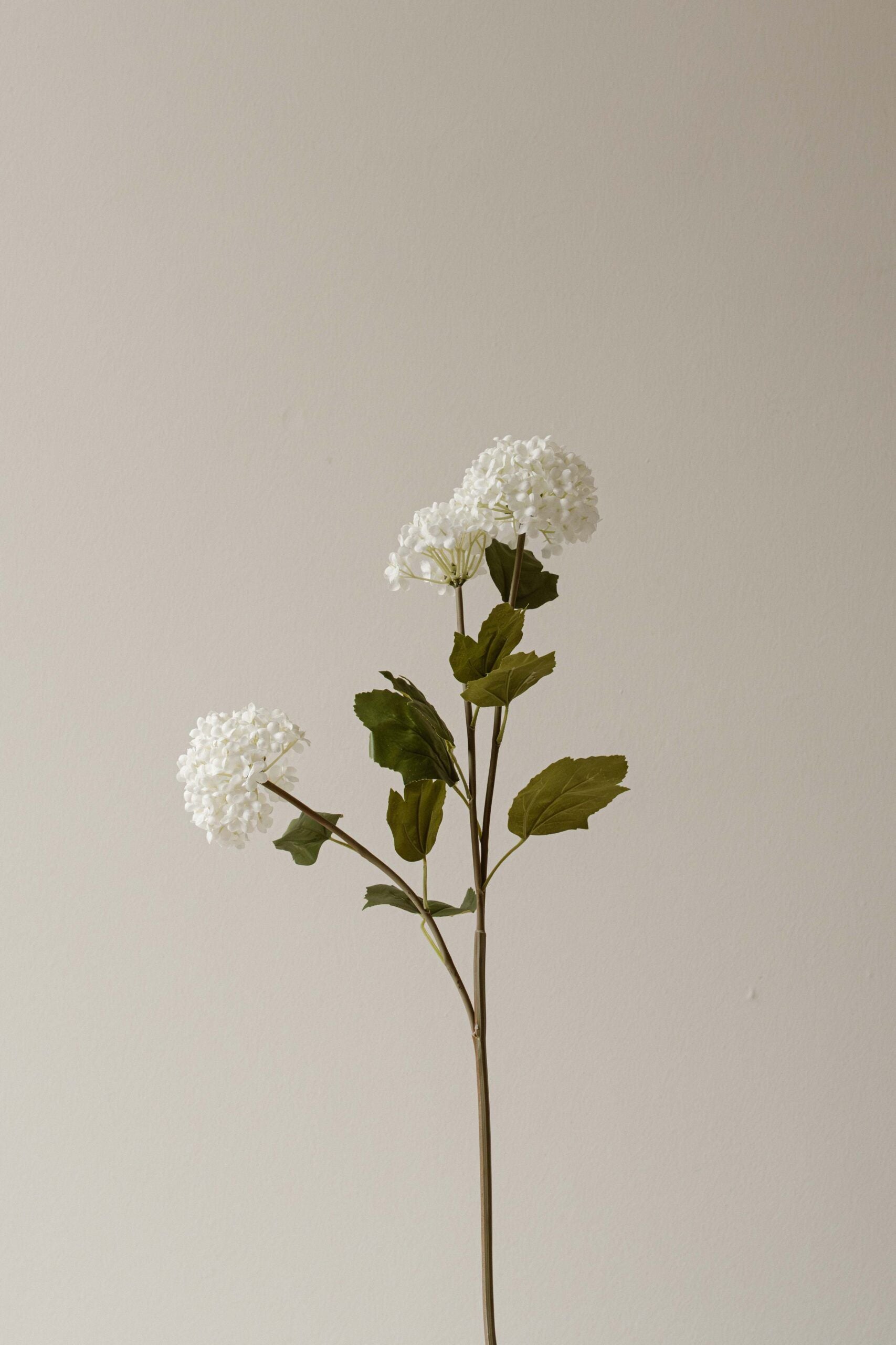 Indore Silva - Annabelle - White - artificial branch - silk