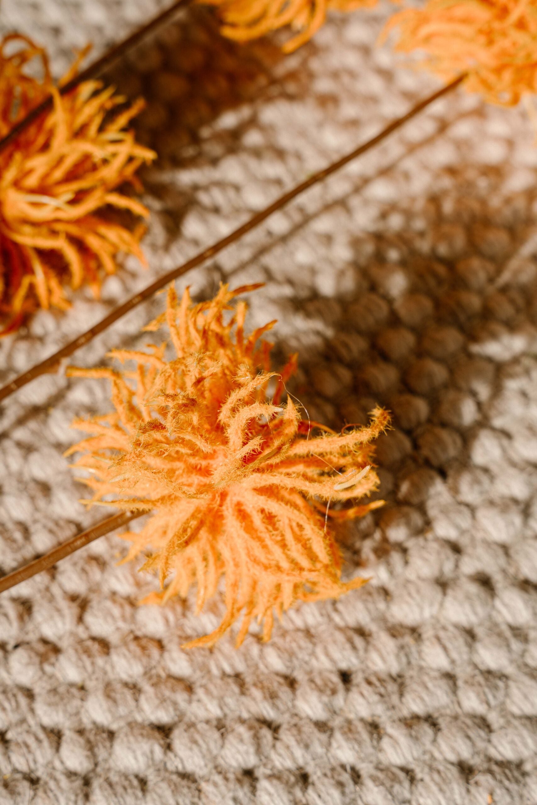 Indore Silva - Allium Bulbs - yellow - artificial branch - silk