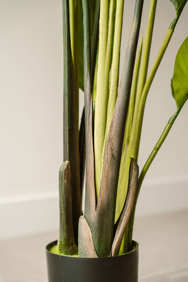 Indore Silva - Artificial Plant Strelitzia - 150cm