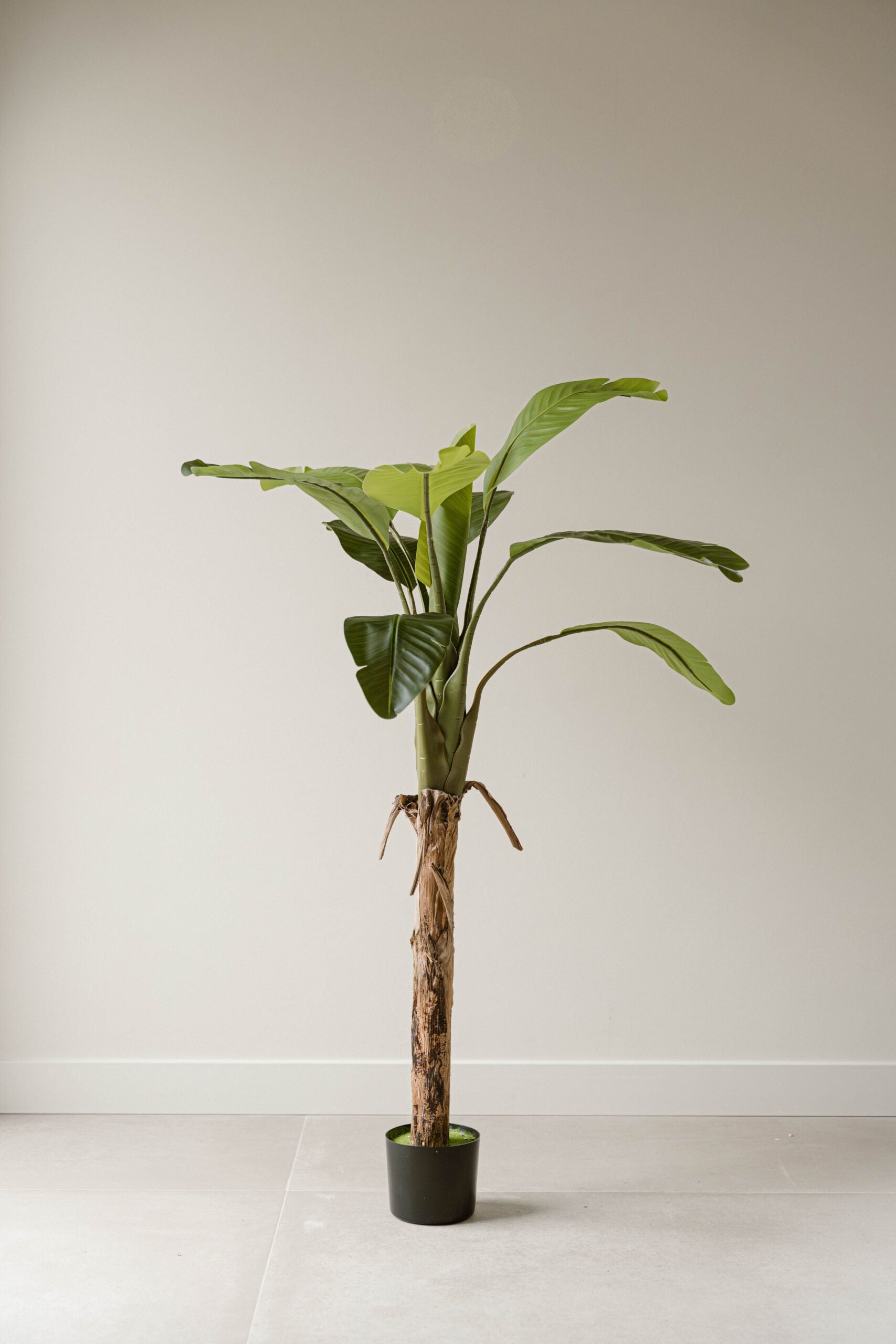Indore Silva - Artificial Banana Plant - 120cm