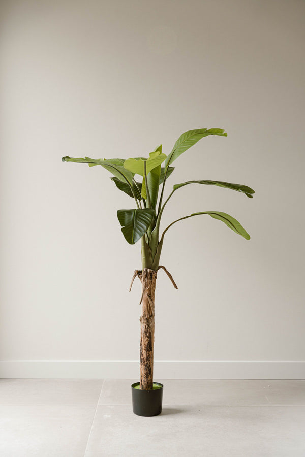 Indore Silva - Artificial Banana Plant - 120cm