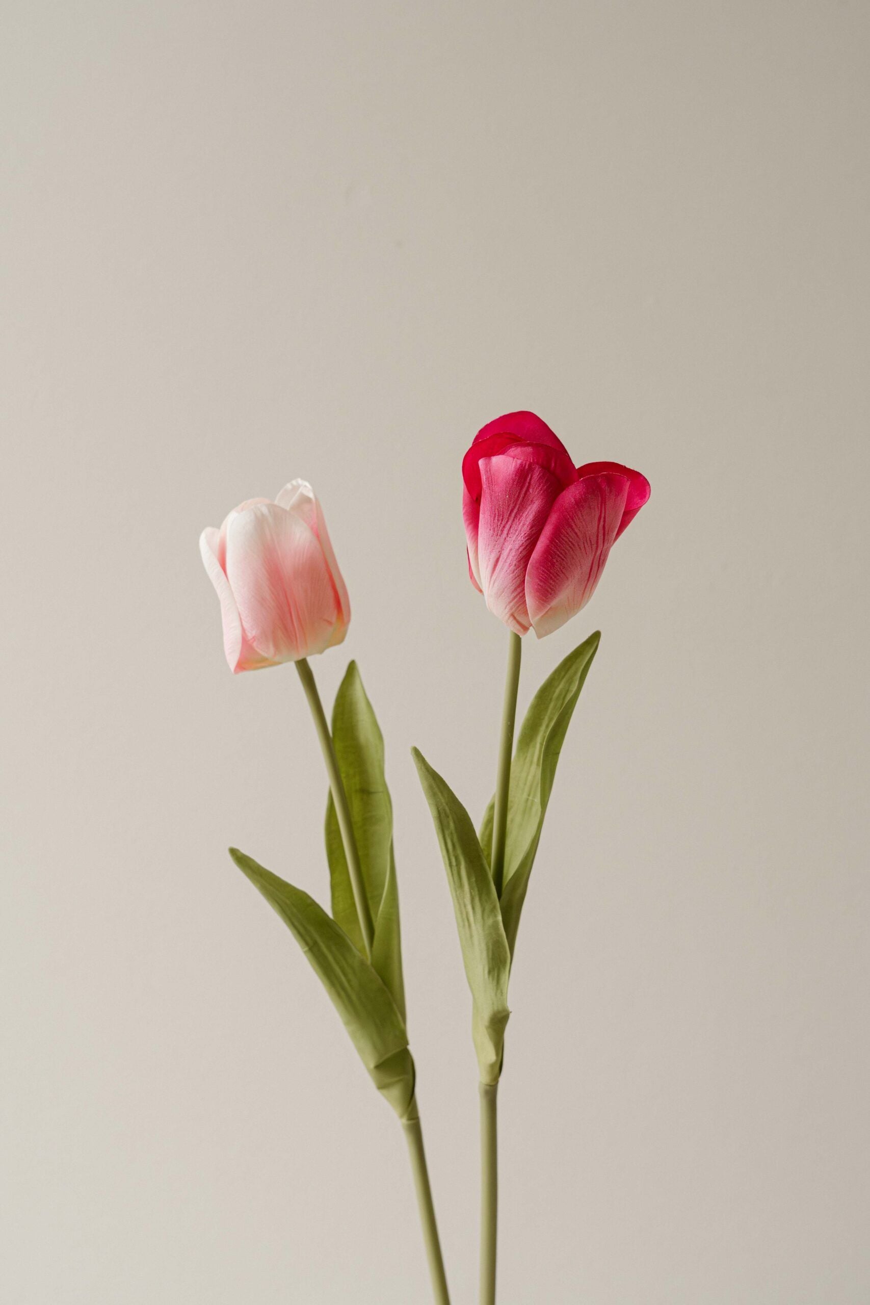 Indore Silva - Tulip - Light Pink - artificial branch - silk