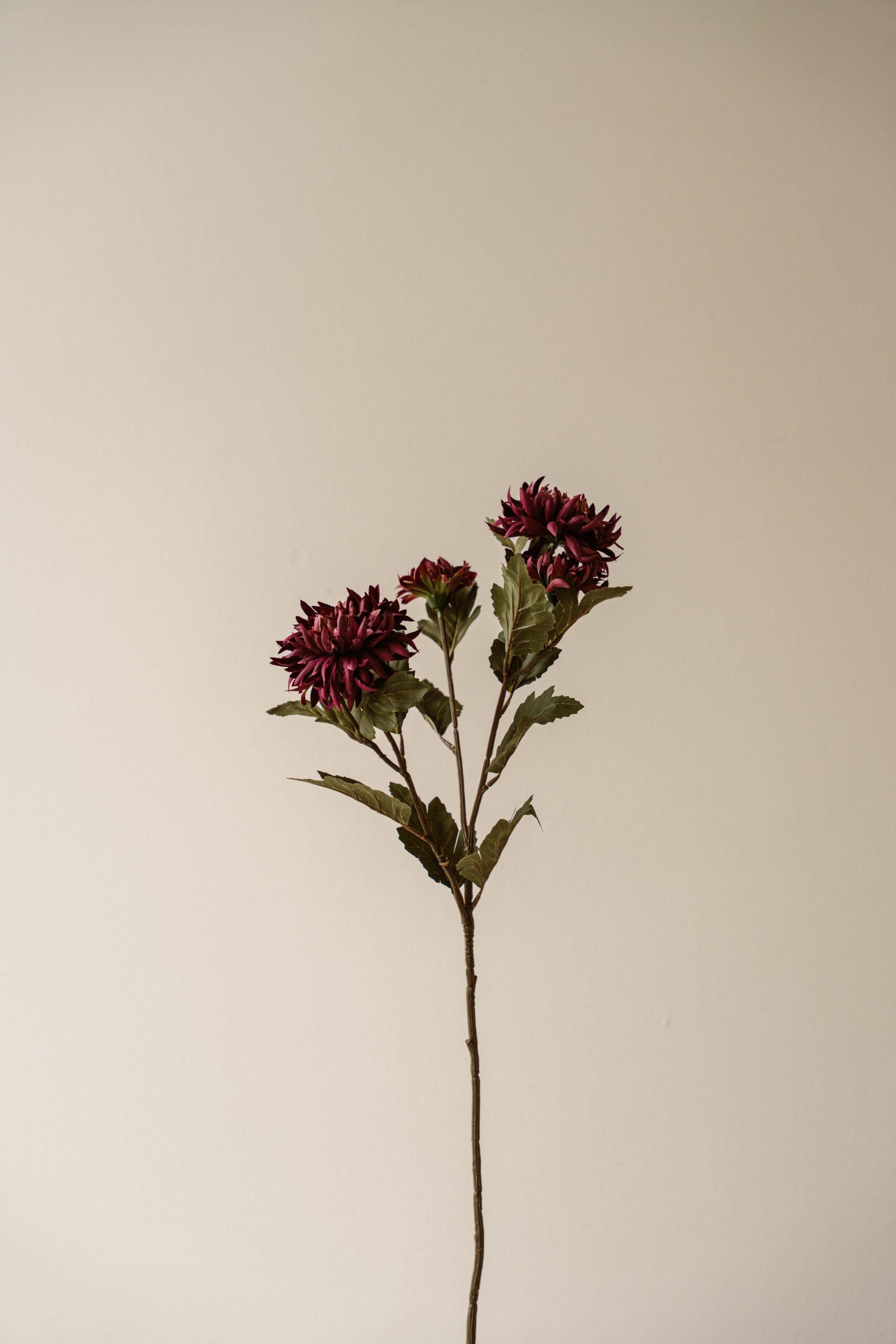 Indore Silva - Chrysanthemum - Purple - artificial branch - silk