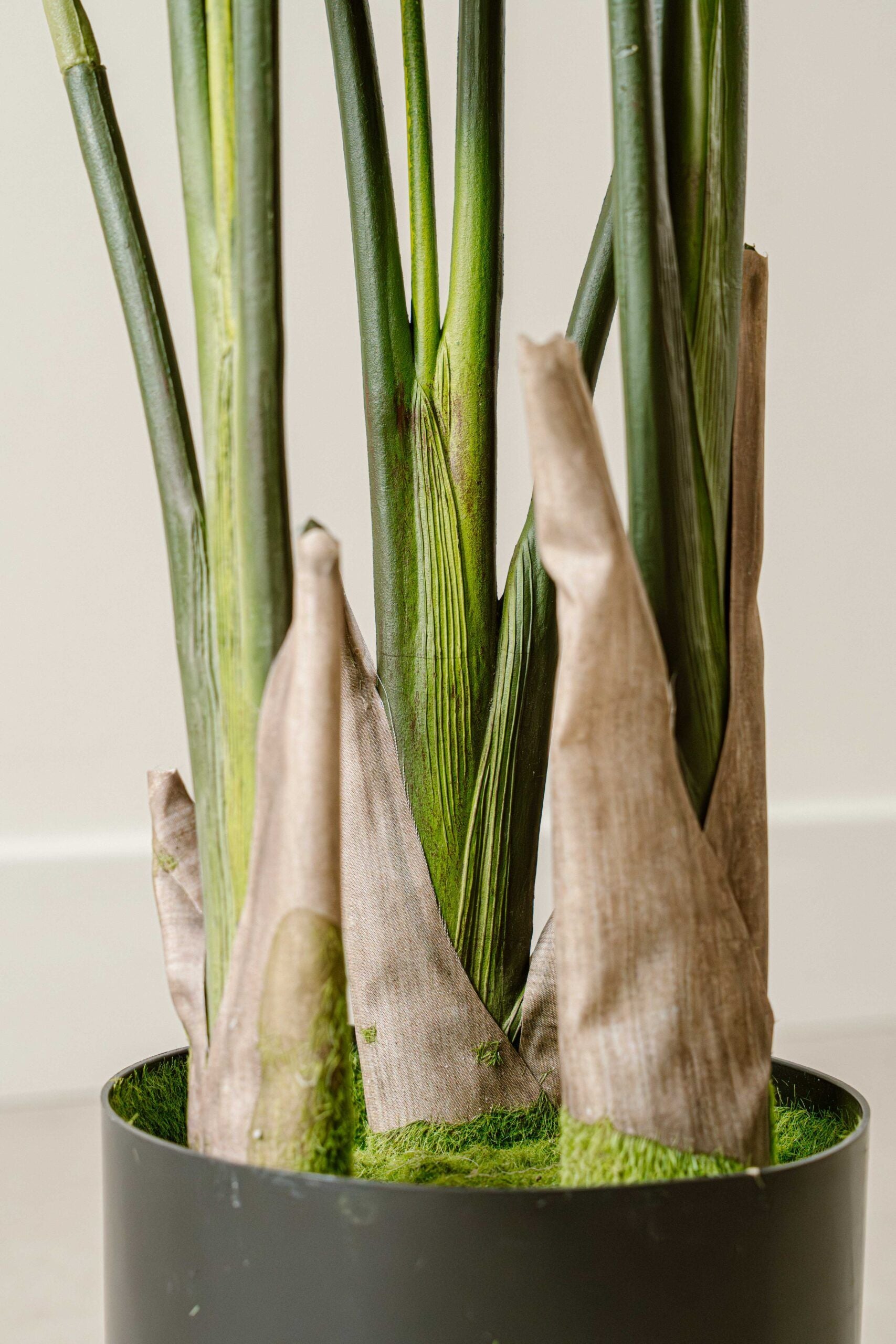 Artificial Plant Strelitzia 120 cm - Stylish Tropical Houseplant - Indore Home